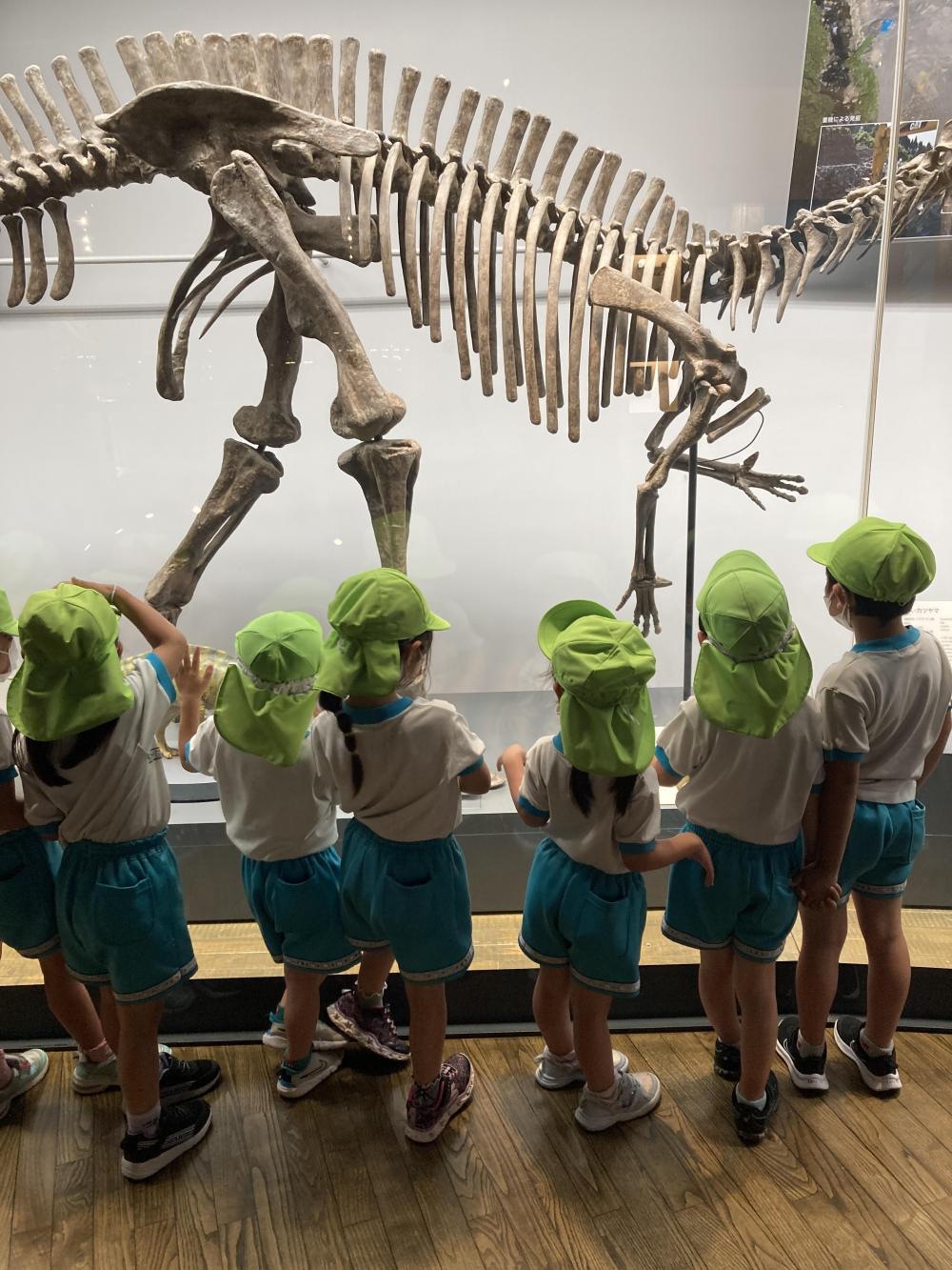 リニューアルした恐竜博物館には、迫力の恐竜がかっこよかったよ♪